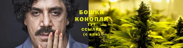 гидра Белоозёрский