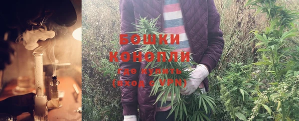 гидра Белоозёрский