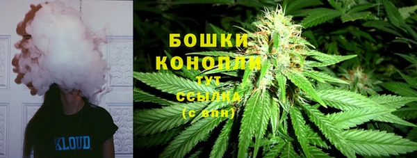 гидра Белоозёрский