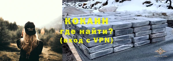 гидра Белоозёрский