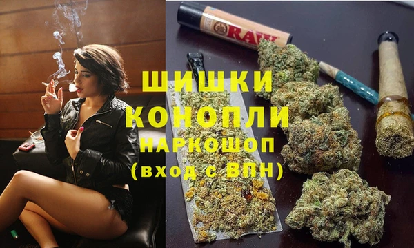 гидра Белоозёрский