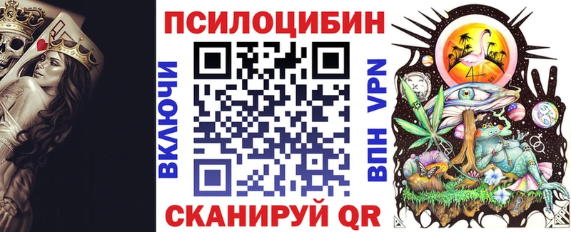 Псилоцибиновые грибы Psilocybe  закладки  Североуральск 